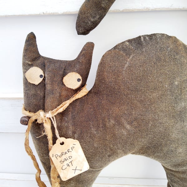 Primitive black cat