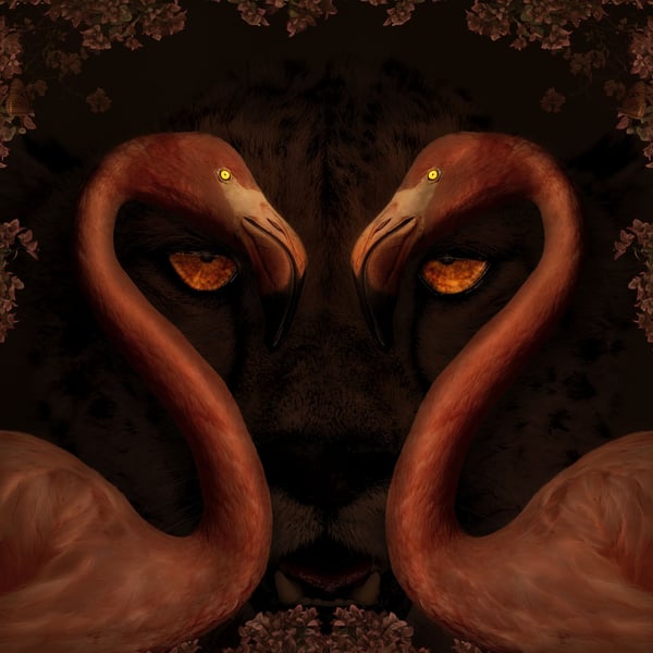 Cheetah and Flamingo Fine Art Print