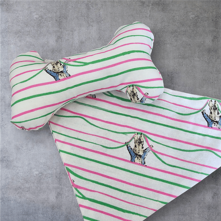 Handmade dog bandana and matching bone 