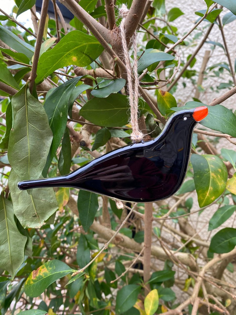 Fused Glass Birds, BLACKBIRD bird lover gift, British bird, hanging bird
