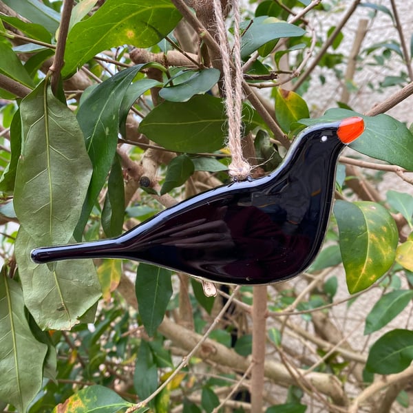 Fused Glass Birds, BLACKBIRD bird lover gift, British bird, hanging bird