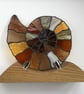 Ammonite. Stained Glass - Image 2