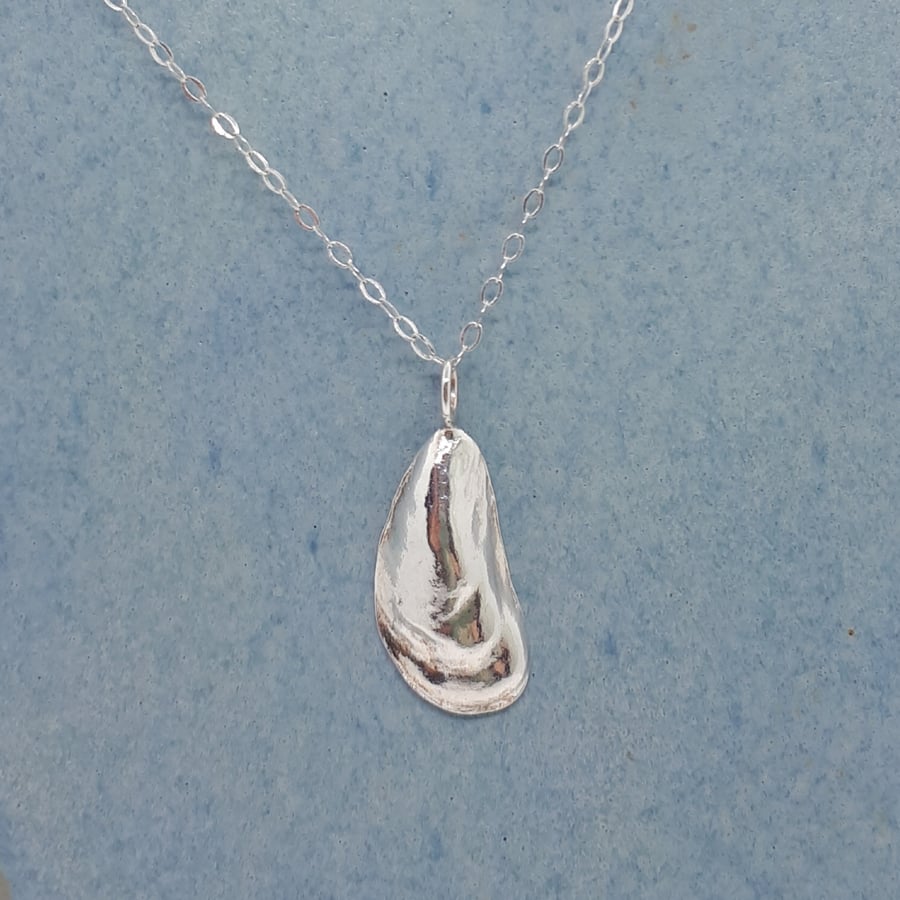 Fine silver muscle shell necklace