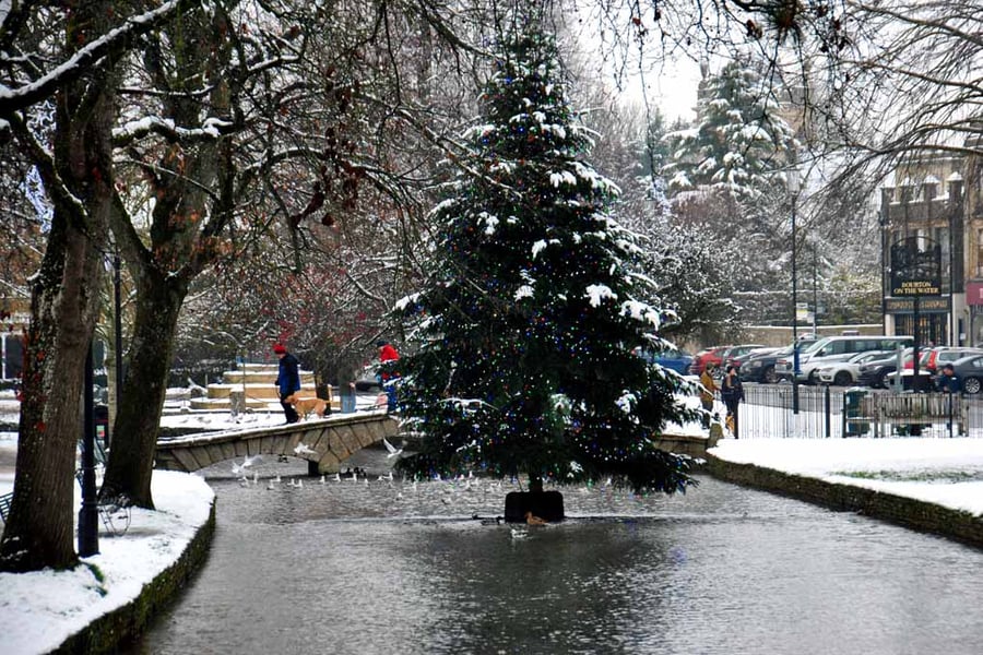 Bourton On The Water Christmas Tree Photograph Print