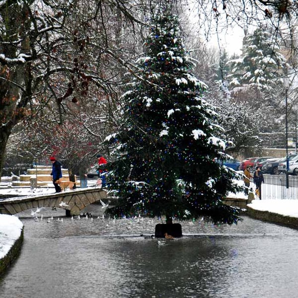 Bourton On The Water Christmas Tree Photograph Print