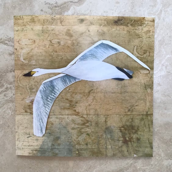 Greetings Card - Stained glass Bewick’s Swan 