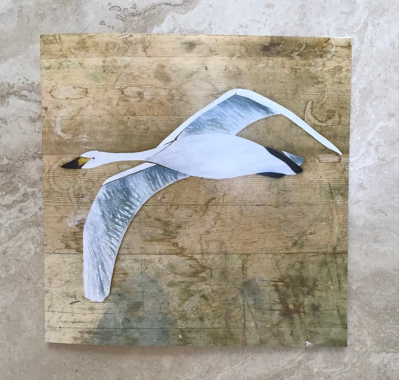 Greetings Card - Stained glass Bewick’s Swan 