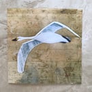 Greetings Card - Stained glass Bewick’s Swan 