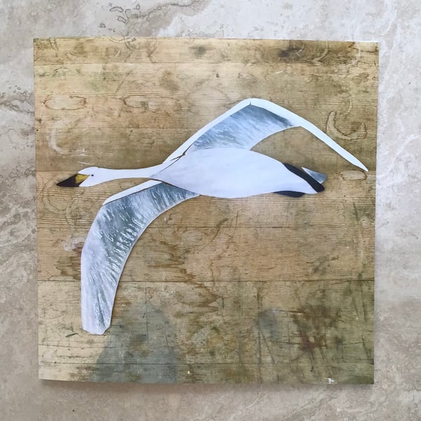 Greetings Card - Stained glass Bewick’s Swan 