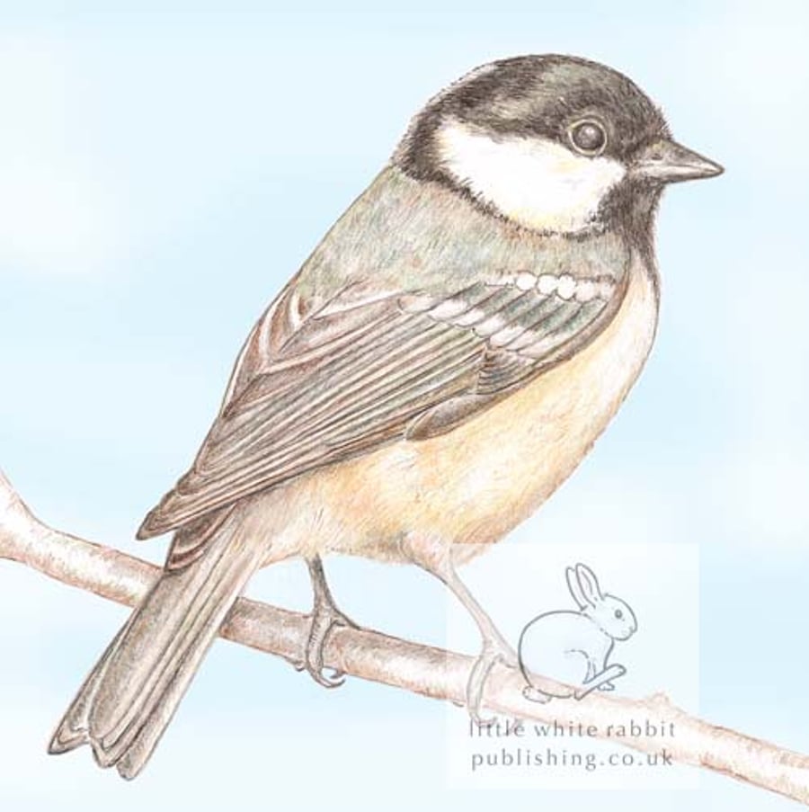 Coal Tit - Blank Card