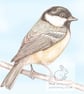 Coal Tit - Blank Card - Image 1