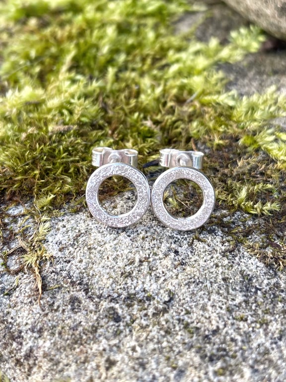 Silver stud earrings circles