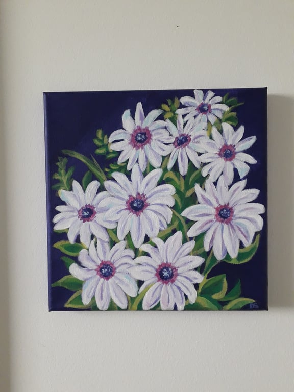 'African Daisy' original painting.  