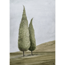 Two Trees Original Watercolour Painting 