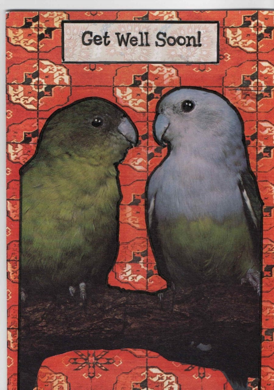 A 01 Get Well Soon - Love birds 