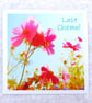 Chemo card, cancer treatment card, Last Chemo