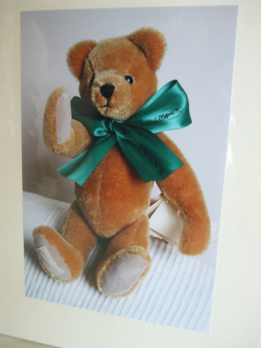 Photographic greetings card of a Teddy Bear with green bow tie.
