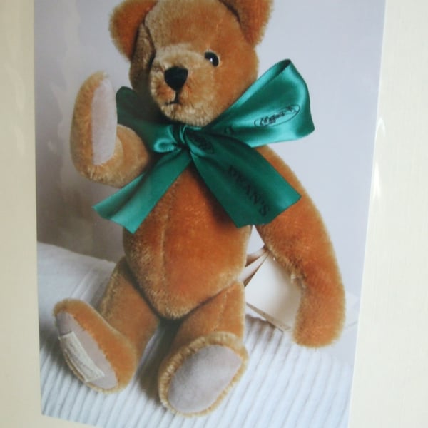 Photographic greetings card of a Teddy Bear with green bow tie.