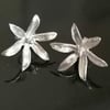 Star of Bethlehem Flower stud earrings made from Silver