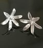 Star of Bethlehem Flower stud earrings made from Silver