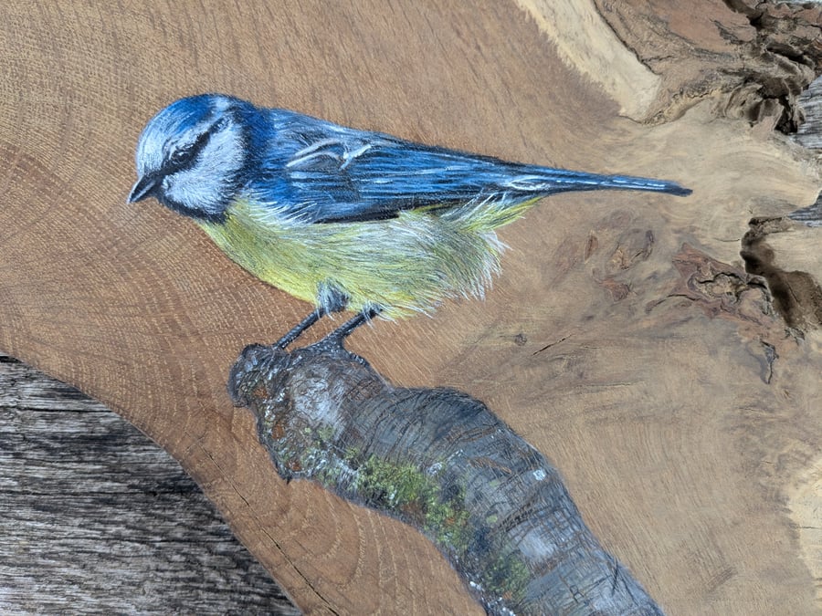 Original Blue Tit painting on reclaimed and repurposed wood