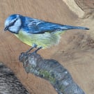 Original Blue Tit painting on reclaimed and repurposed wood