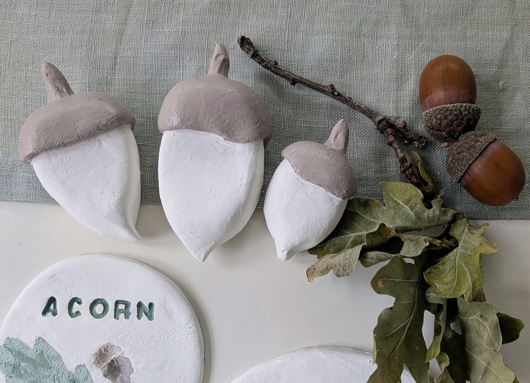 Painted Decorative Acorn Set