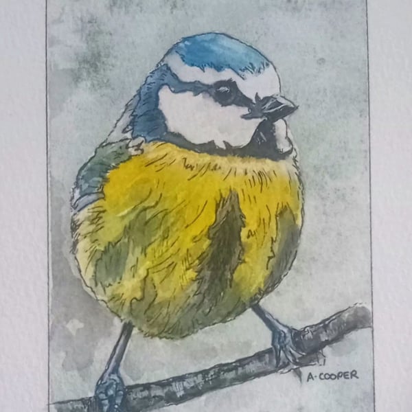 , LITTLE BLUETIT, original watercolour and fine liner painting 