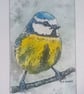 , LITTLE BLUETIT, original watercolour and fine liner painting 