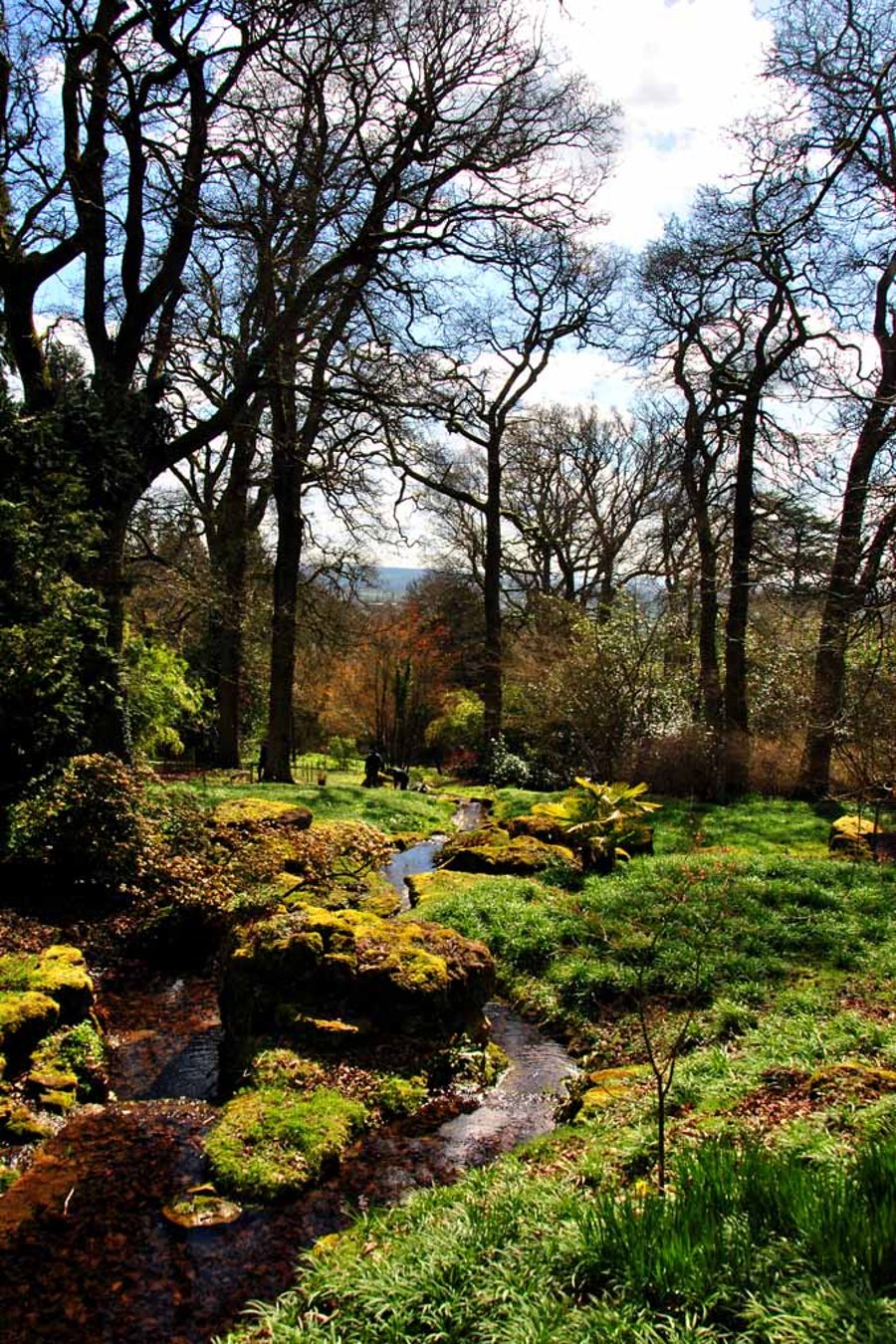 Batsford Arboretum Cotswolds Moreton In Marsh Photograph Print
