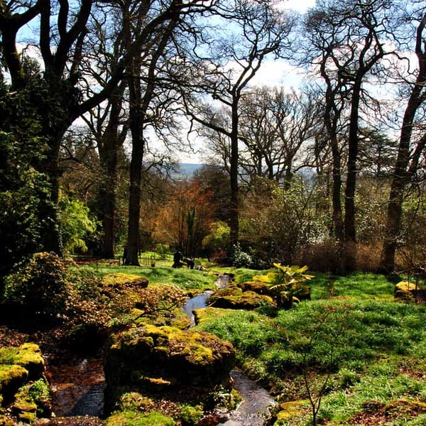 Batsford Arboretum Cotswolds Moreton In Marsh Photograph Print