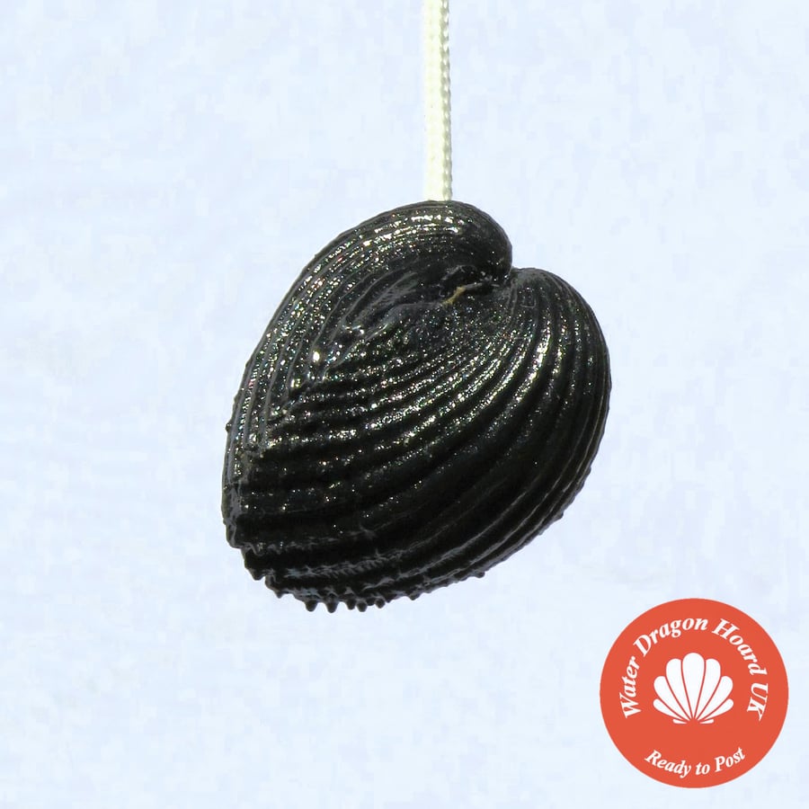 Unusual black light pull handle including cord from beach found shell