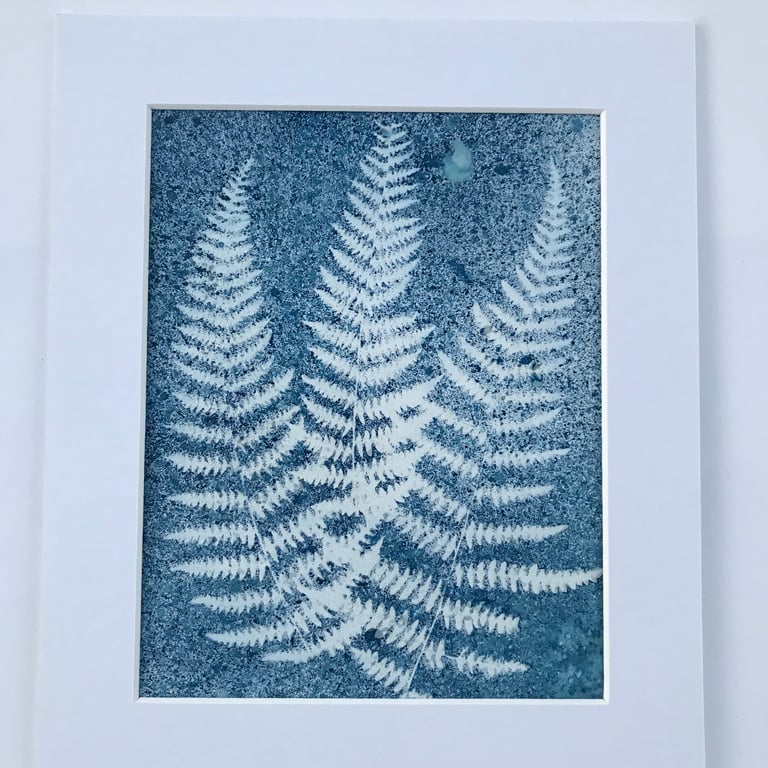 Fern Art, Botanical Art, Art for gardeners, Cyanotype Original Art.