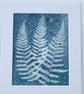 Fern Art, Botanical Art, Art for gardeners, Cyanotype Original Art. - Image 1