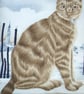 Ginger tabby cat sitting on a quayside cushion - Image 2