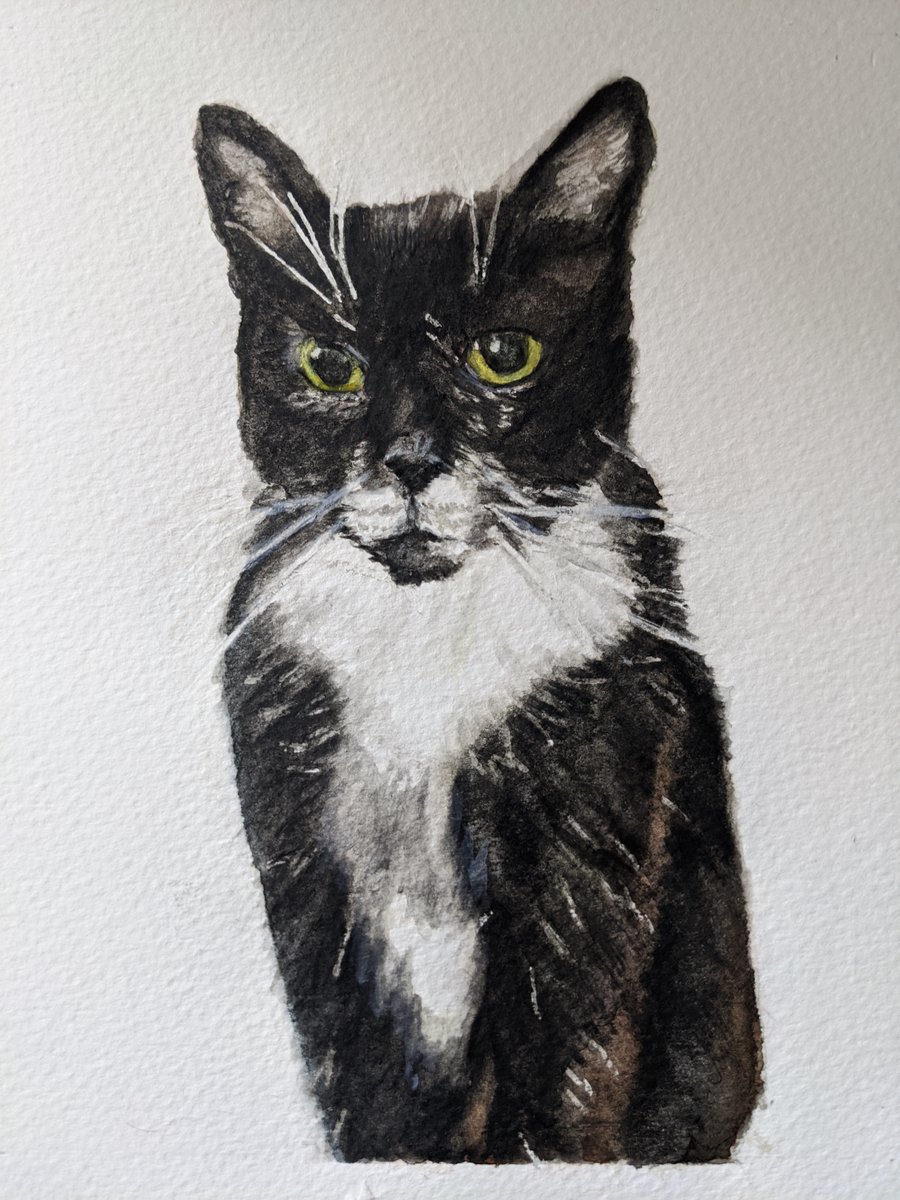 A3 pet portrait commission in watercolour, original artwork, custom art