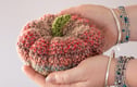 Crochet
