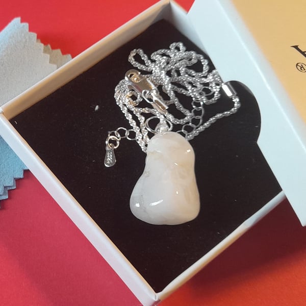 The Snow Drop