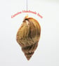 OOAK Nautical-themed light pull handle from a varnished real whelk shell