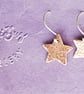 Copper Star Earrings - Image 3