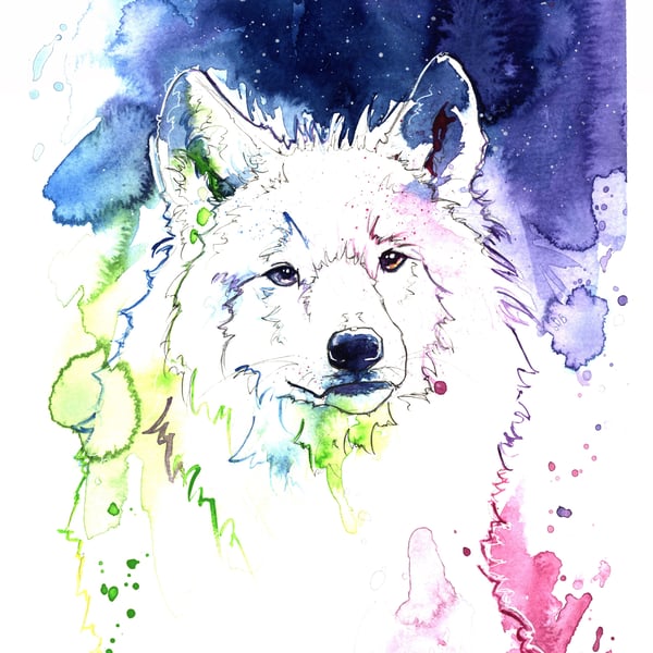 White Wolf A3 Print