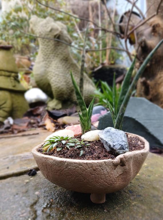 Handmade Ceramic Succulent Planter Rustic Pottery Bowl Indoor or Outdoor use
