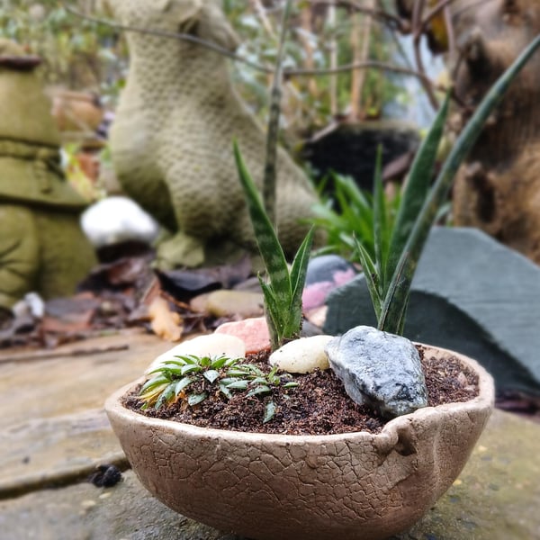 Handmade Ceramic Succulent Planter Rustic Pottery Bowl Indoor or Outdoor use