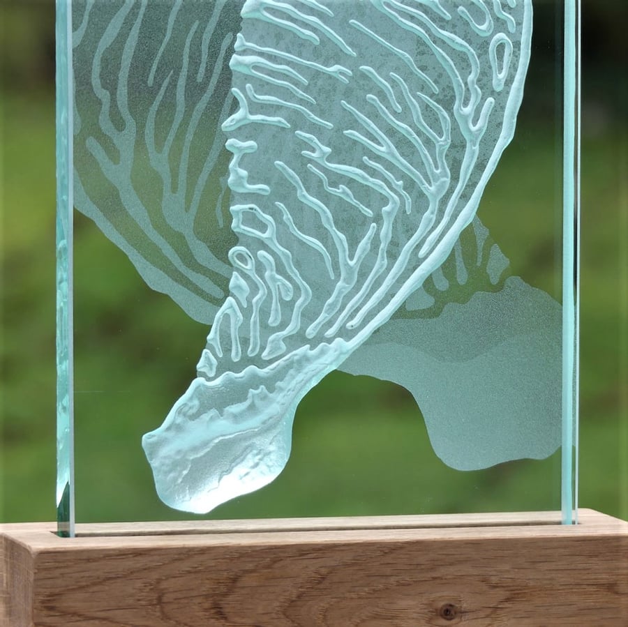 Sycamore Seed Design Engraved Glass Wood LED Table Light By Tim Carter 