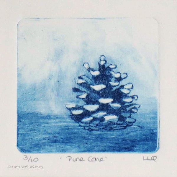 Pine cone original drypoint etching printed in blue ink mounted ready to frame