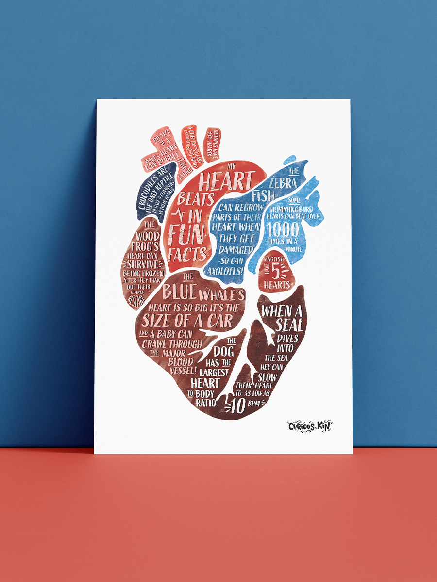 My heart beats in fun facts, A5 print with envelope 