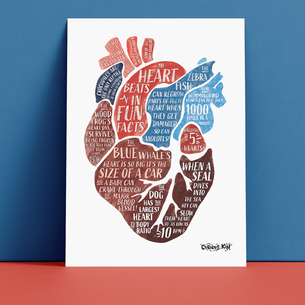 My heart beats in fun facts, A5 print with envelope 