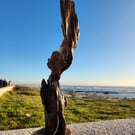 Tall sculptural driftwood table lamp