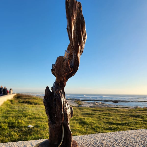 Tall sculptural driftwood table lamp