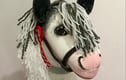 Horses, Ponies and Donkey Keepsakes 